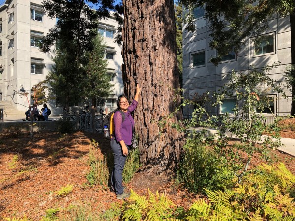 admiring majestic trees